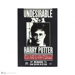 Carnet Souple HARRY POTTER - Undesirable N°1