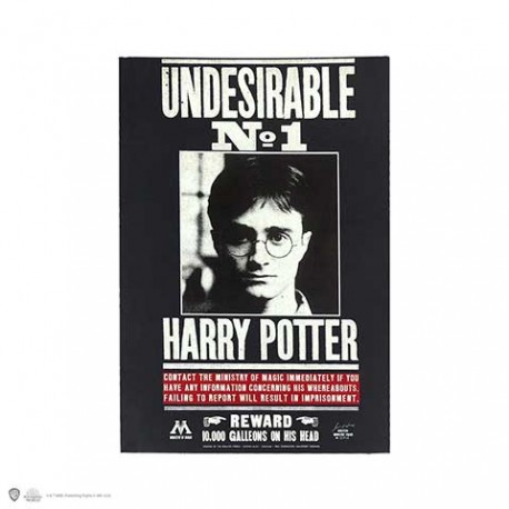 Carnet Souple HARRY POTTER - Undesirable N°1