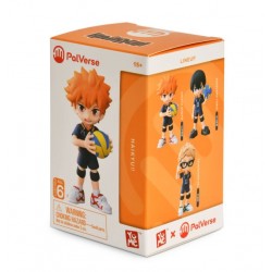 Blind Box HAIKYU
