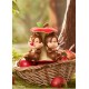 Pop Mart DISNEY - Chip 'N' Dale Fun - Loving Brothers