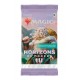 Booster MAGIC THE GATHERING Horizons du Modern 3