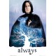 Maxi Poster HARRY POTTER - Rogue Always