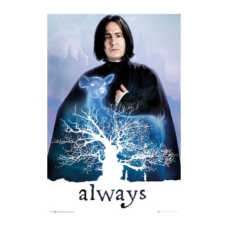 Maxi Poster HARRY POTTER - Rogue Always