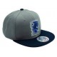 Casquette HARRY POTTER snapback- Gris & Bleu Serpentard