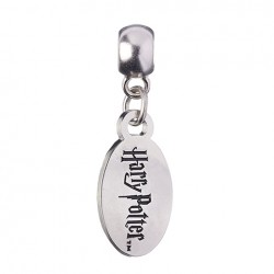 Charm HARRY POTTER - Logo Harry Potter