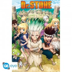 Maxi Poster DR STONE Groupe