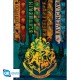 Maxi Poster HARRY POTTER - Rogue Always