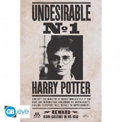 Maxi Poster HARRY POTTER - Undesirable N°1