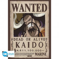 Mini Poster ONE PIECE Wanted Kaido