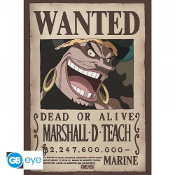 Mini Poster ONE PIECE Wanted Marshall D. Teach