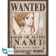mini-poster-one-piece-wanted-nami