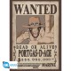 mini poster ONE PIECE wanted portgas d ace 