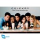 Maxi Poster FRIENDS Milkshake